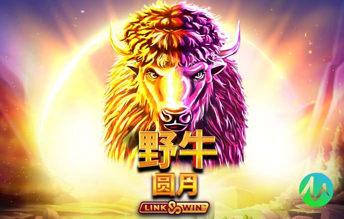 新澳新奥门正版资料