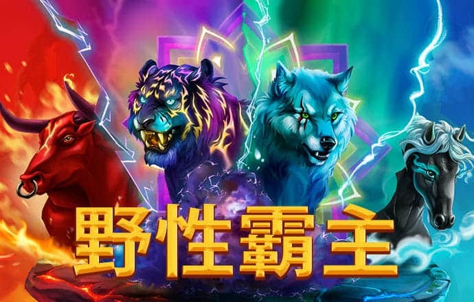 火博体育